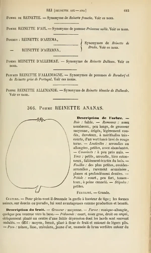 Dictionnaire Pomologique Andre Leroy