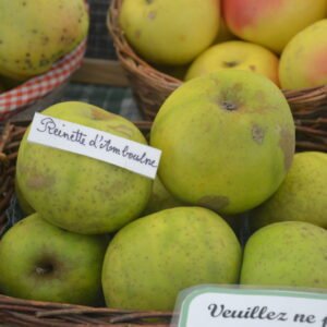 Pommier Reinette d’Amboulne